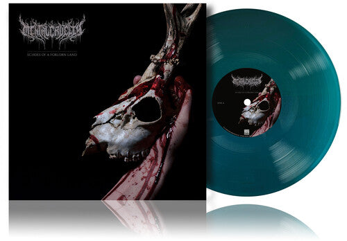 Mental Cruelty: Echoes Of A Forlorn Land - VINYL LP