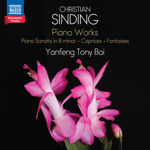 Yvnfeng Tony Bai: Sinding: Pno Works - COMPACT DISCS