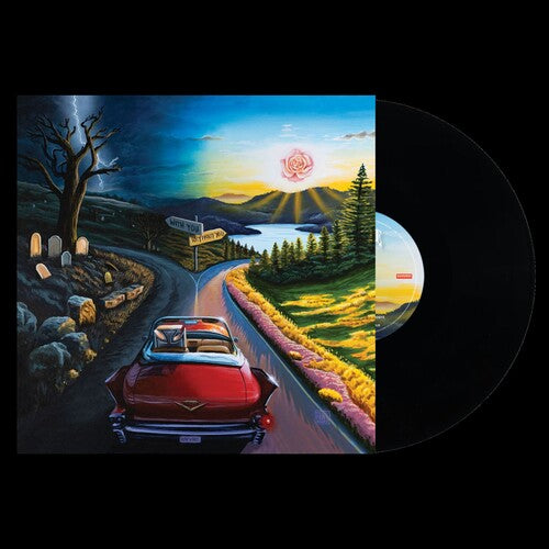 Haywire 617: I Don't Wanna Say Goodbye - VINYL LP