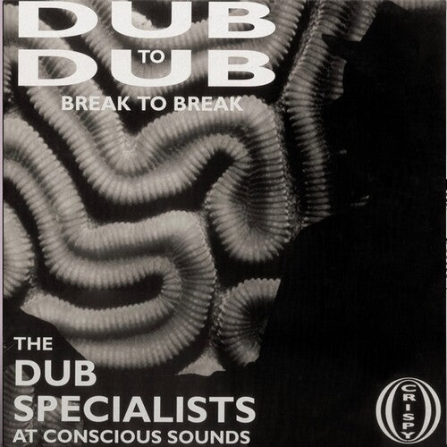 Dub Specialists: Dub To Dub Break to Break - VINYL LP