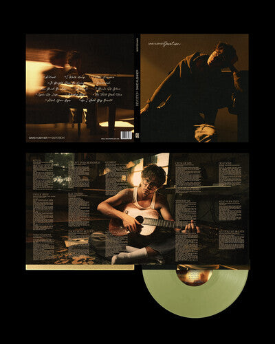 David Kushner: Devotion - VINYL LP