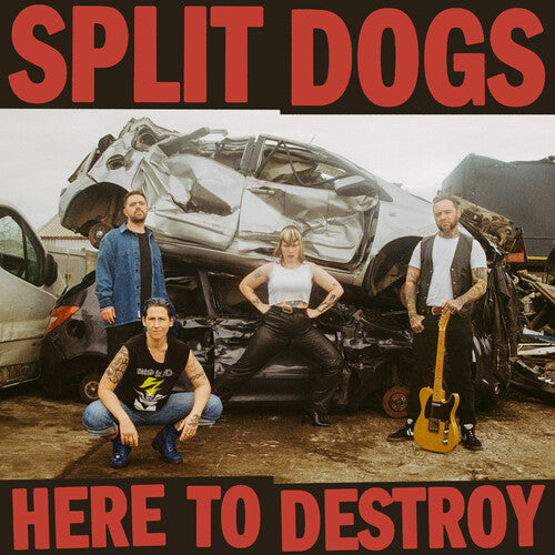 Split Dogs: Here To Destroy - Blue Marble Vinyl - VINYL LP