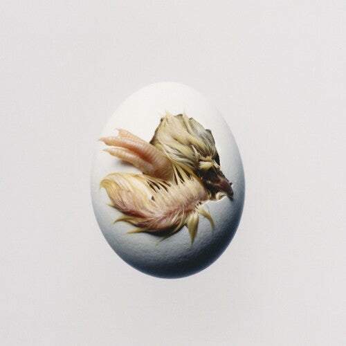 Shygirl: SWALLOW! - COMPACT DISCS