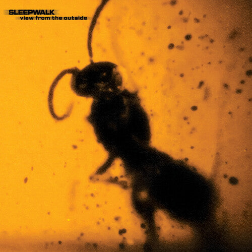 Sleepwalk: View From the Outside - COMPACT DISCS