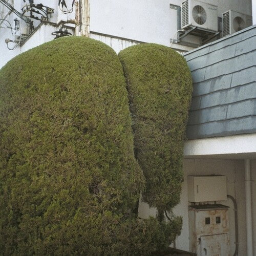 Ahti, Marja / McCowen, John: Errands - VINYL LP