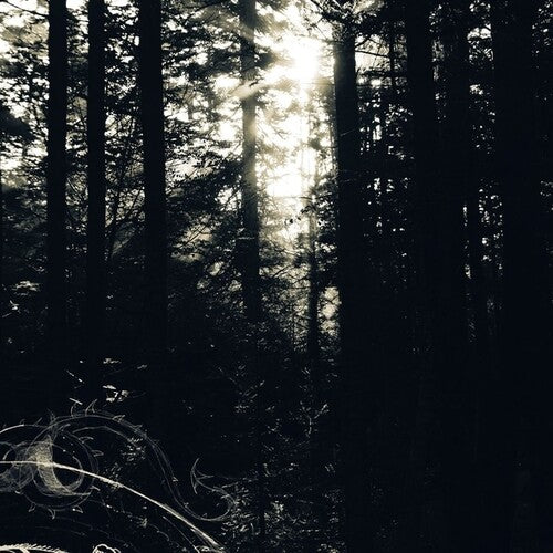 Graves, Allison: I Still Look For The Mountains - VINYL LP