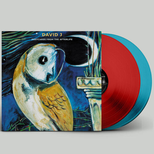 David J: Postcards From the Afterlife - VINYL LP