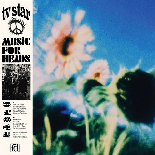 TV Star: Music for Heads - VINYL LP