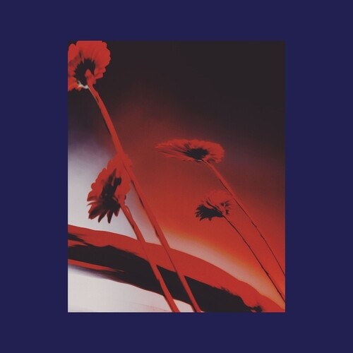 Various Artists: Nothing Ever Was: Compiled By DJ Sundae - VINYL LP