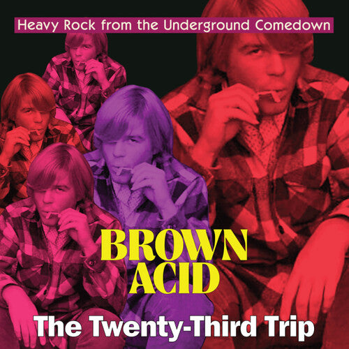 Various Artists: Brown Acid - The Twenty-Third Trip (Various Artists) - VINYL LP