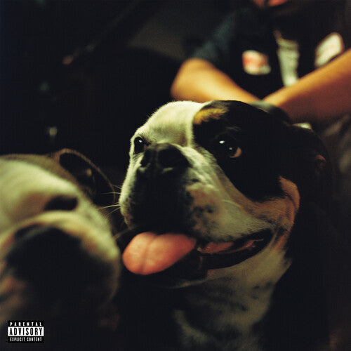 Mason, Kenny: Bulldawg - VINYL LP