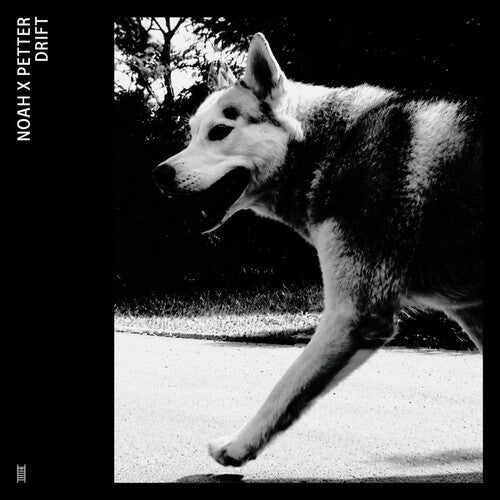 Noah X Petter: Drift - VINYL LP