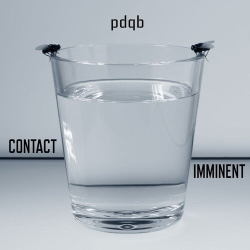 Pdqb: CONTACT IMMINENT - 12-INCH SINGLE