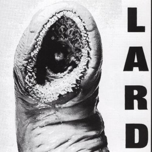 Lard: Power of Lard - 12-INCH SINGLE