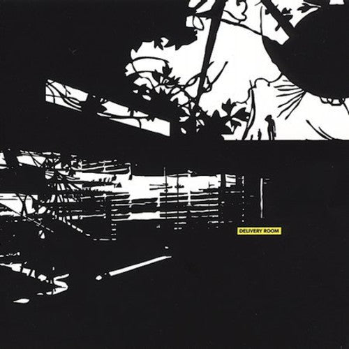 Various Artists: Delivery Room - COMPACT DISCS