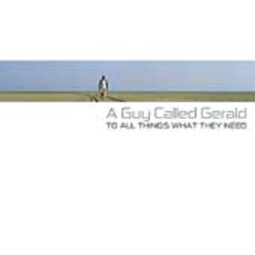 A Guy Called Gerald: To All Things What They Need - COMPACT DISCS