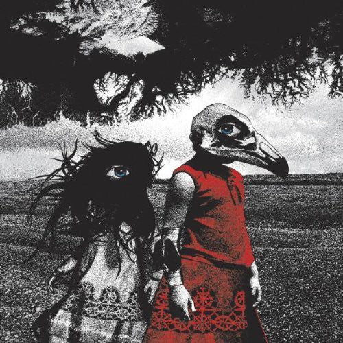 The Standard: Albatross - COMPACT DISCS