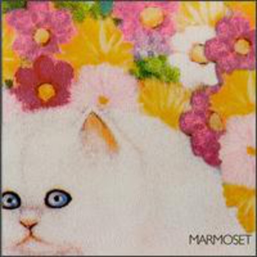 Marmoset: Today It's You