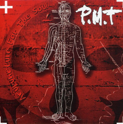 PMT: Acupuncture for the Soul