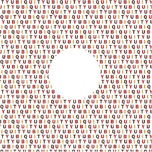 Moschella, Nino: Real Better Believe Yourself