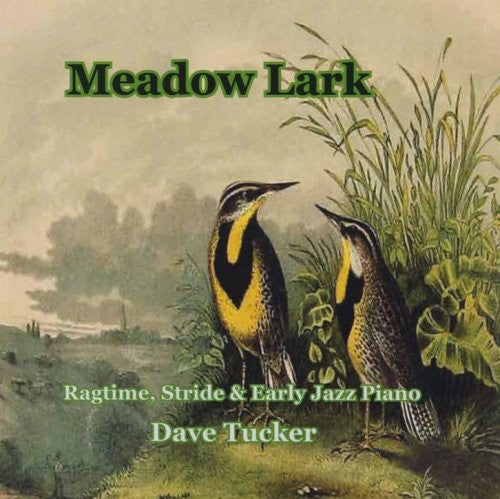 Dave Tucker: Meadow Lark - COMPACT DISCS