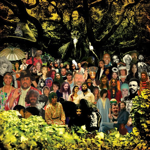 Banhart, Devendra: Cripple Crow - VINYL LP