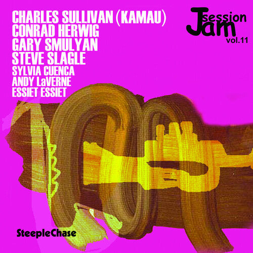 Various Artists: Jam Session, Vol. 11 - COMPACT DISCS