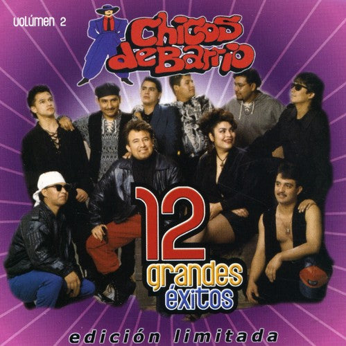 Chicos de Barrio: 12 Grandes Exitos 2