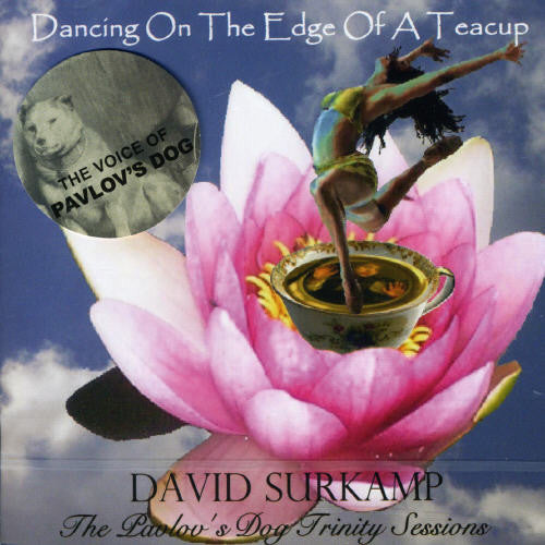 Surkamp, David: Dancing On The Edge Of A Teacup