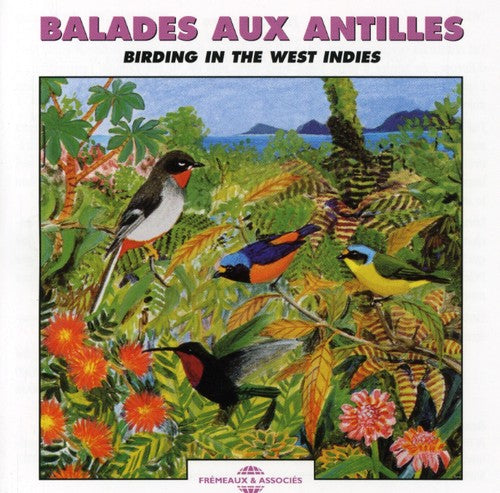 Sounds Of Nature: Birding in the West-Indies