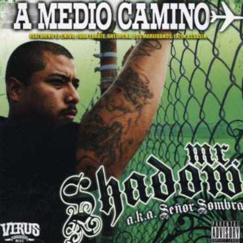 Mr. Shadow: A Medio Camino