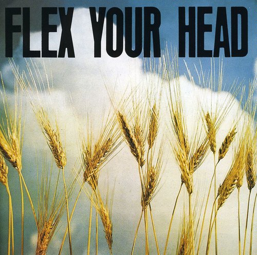 Flex Your Head / Various: Flex Your Head