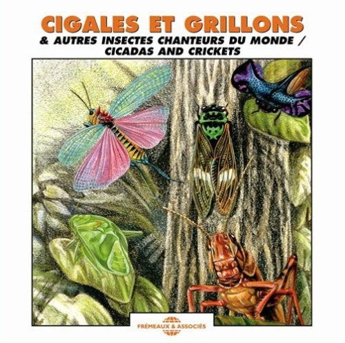 Sounds of Nature: Cicadas and Crickets