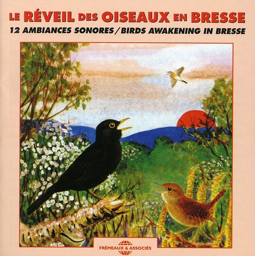 Sounds of Nature: Birds Awakening In Bresse