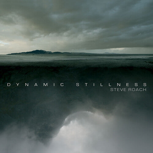 Roach, Steve: Dynamic Stillness