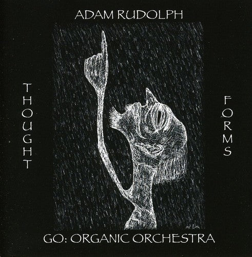 Rudolph, Adam: Thought Forms-Go: Organic Orchestra