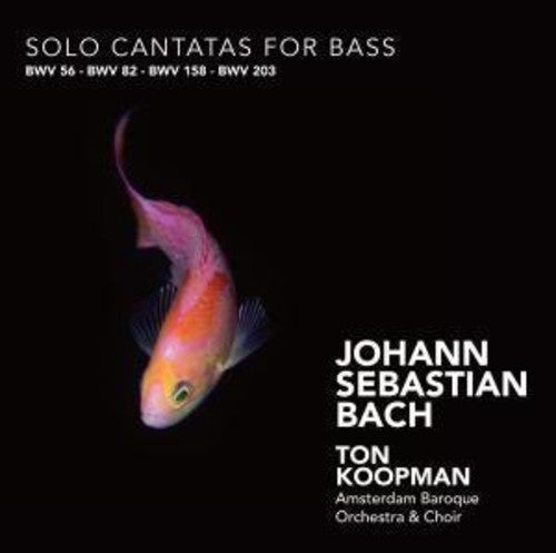 Bach, J.S. / Mertens / Koopman: Solo Cantatas for Bass