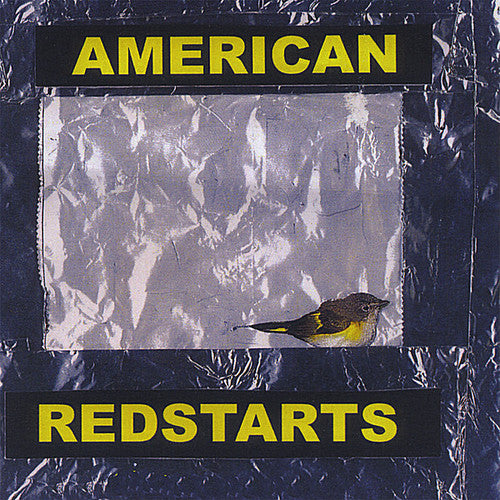 Sigismondi, Paul: American Redstarts