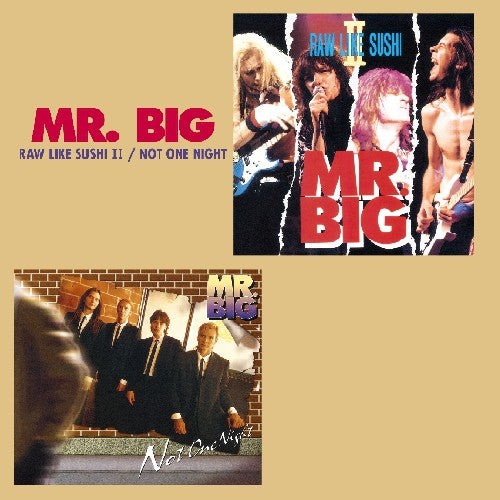 Mr Big: Raw Like Sushi 2 / Not One Night