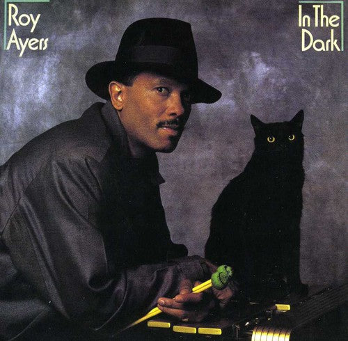 Ayers, Roy: In The Dark (bonus Tracks Edition)