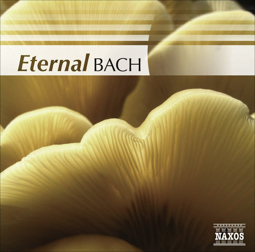 Eternal Bach / Various: Eternal Bach / Various