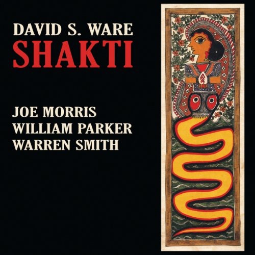 Ware, David S: Shakti