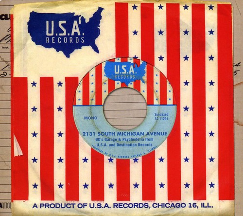 2131 South Michigan Avenue: 60's Garage & / Var: 2131 South Michigan Avenue: 60's Garage and Psychedelia From USA AndDestination Records