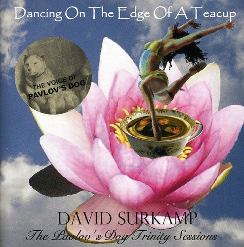 Surkamp, David: Dancing on the Edge of a Teacup