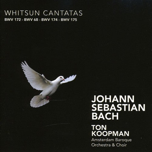 Bach, J.S. / Schlick / York / Abo / Koopman: Whitsun Cantatas