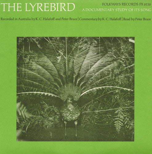 Bruce, P.: The Lyrebird: A Documentary Study of It's Song