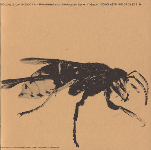 Sounds of Insects / Various: Sounds of Insects / Various