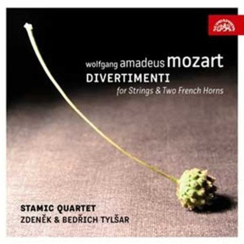 Mozart / Matousek / Peruska / Leizner: Divertimento for Strings & Two French Horns