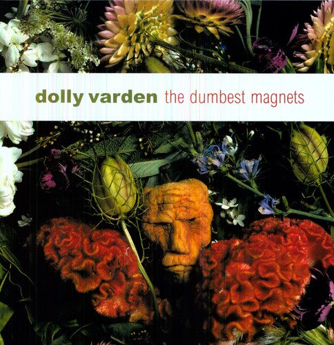 Dolly Varden: The Dumbest Magnets