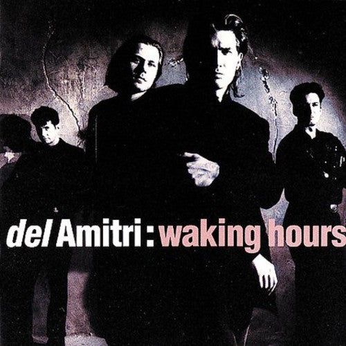 Del Amitri: Waking Hours